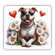 Daisies and Hearts Pitbull
