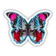 Colorful Butterfly 4