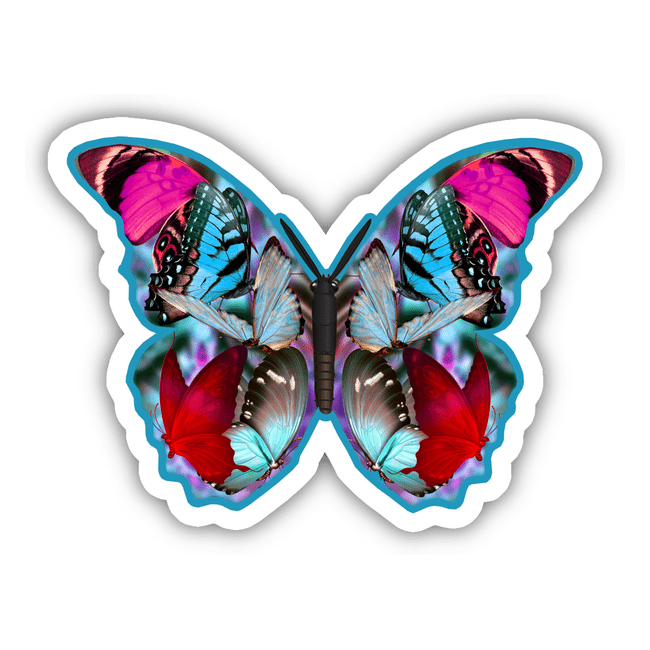 Colorful Butterfly 4