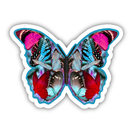 Colorful Butterfly 4