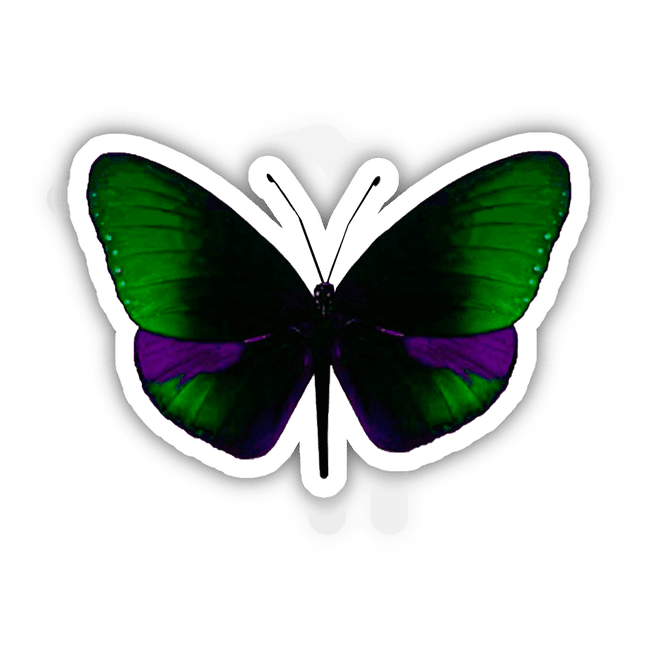 GREEN, PURPLE AND BLUE BUTTERFLY