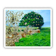 Money Tree