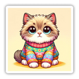 Cat in Sweater