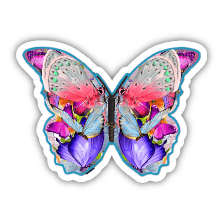 Colorful Butterfly 8