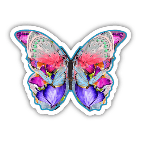 Colorful Butterfly 8