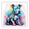 Curly Swirly Pitbull