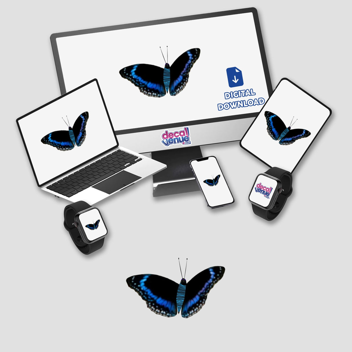 BLACK, BLUE AND WHITE BUTTERFLY WITH CYAN STRIPES
