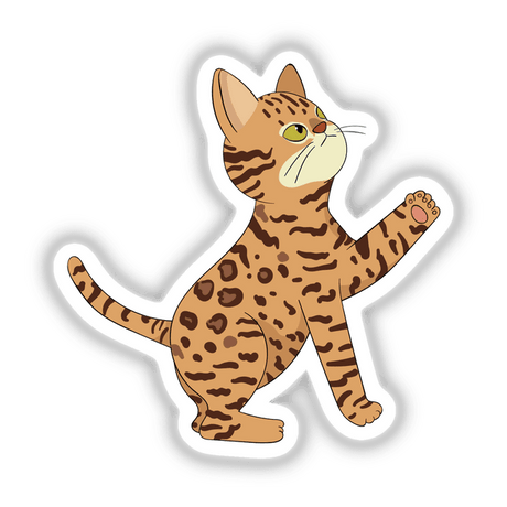 Bengal cat