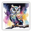 Owl w/an Attitude - Splattered Pastels
