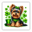 Yorkie w/ Hat and Clover Background