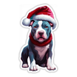 Santa Blue Pitbull