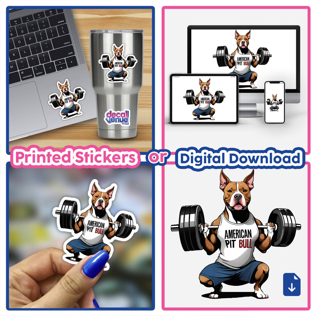 Cropped Ear Pitbull Lifting Weights