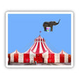A FUNNY THING HAPPENED AT THE CIRCUS