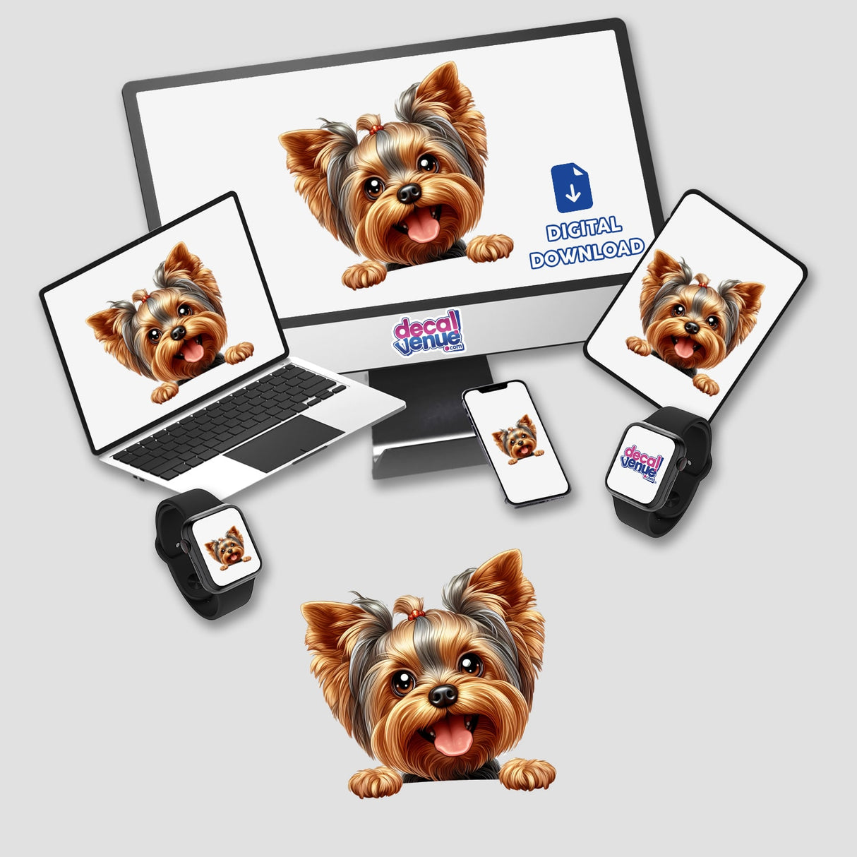 Peeking Boy Yorkie