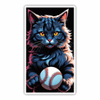 Fluffy Baseball Cat