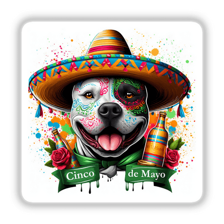 Cinco de Mayo Pitbull Dog